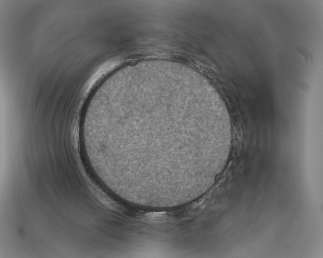 X0000112030054200909141105