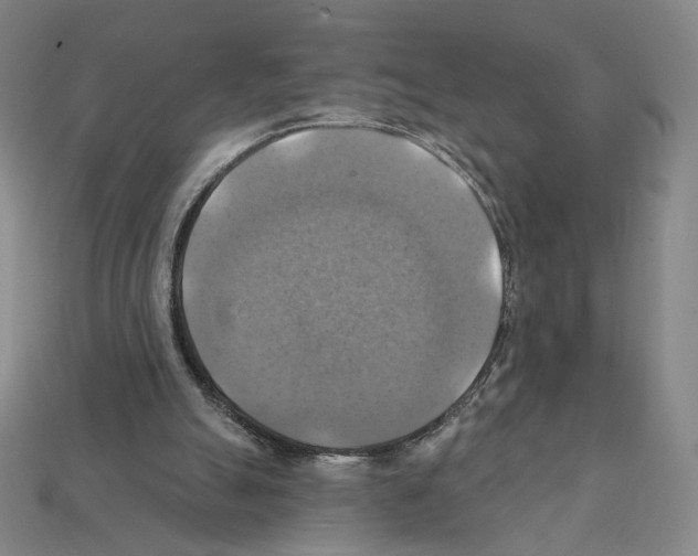 X0000112030055200909141105