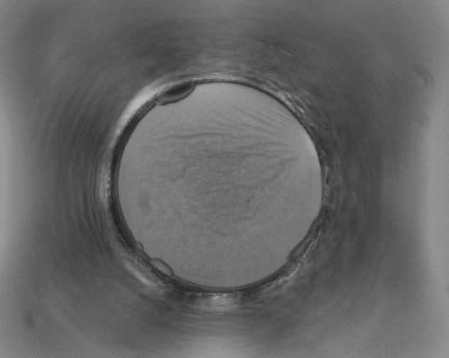 X0000112030056200909141105