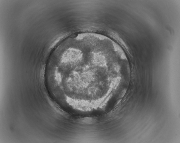 X0000112030058200909141105