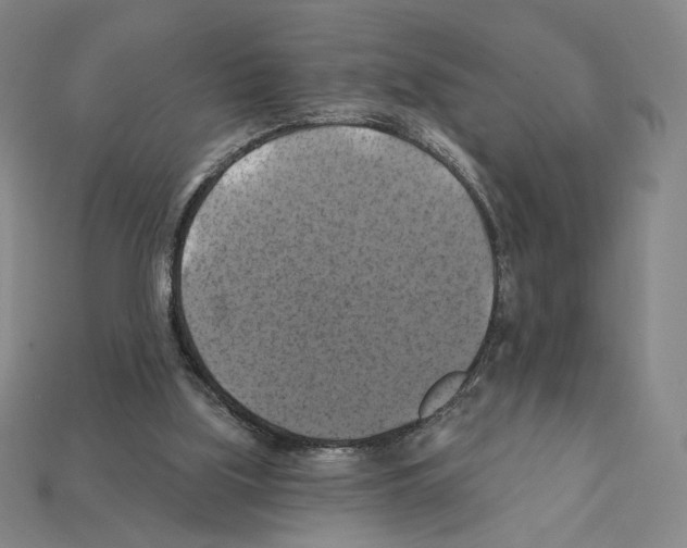 X0000112030059200909141105