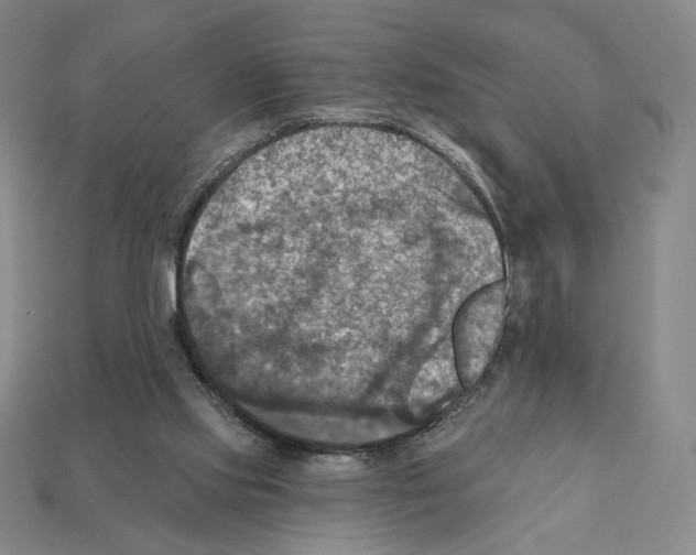X0000112030061200909141105