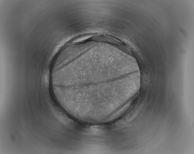 X0000112030064200909141105