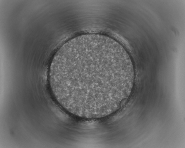 X0000112030065200909141105