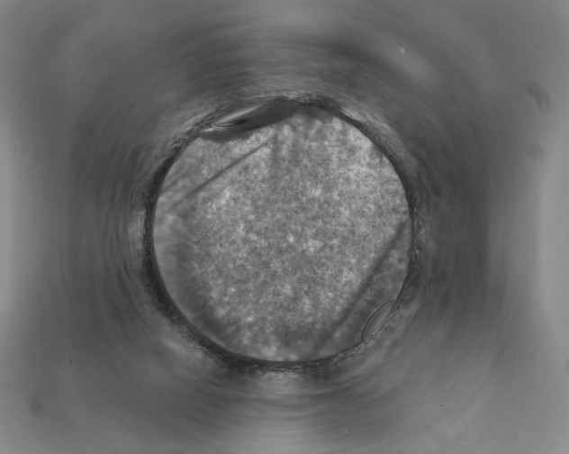 X0000112030066200909141105