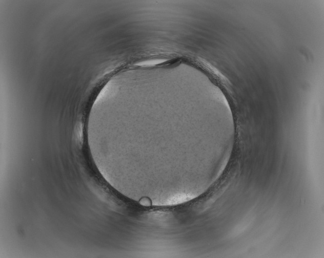 X0000112030067200909141105