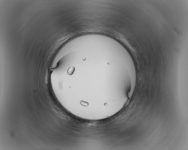 X0000112030068200909141105