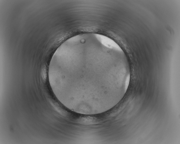 X0000112030069200909141105