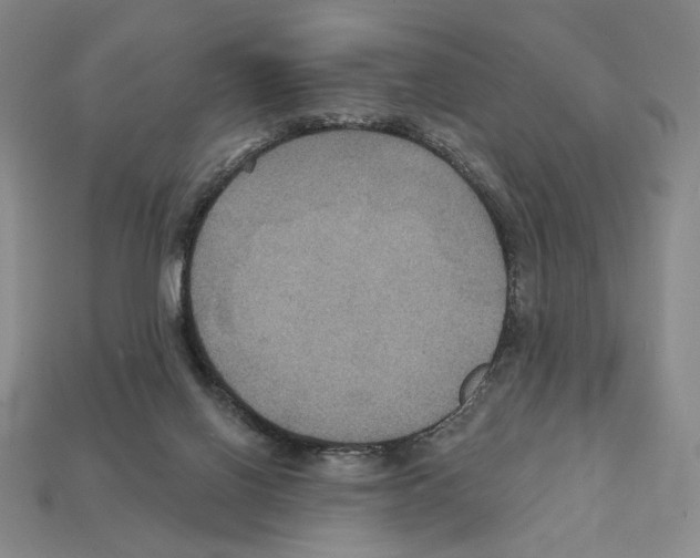 X0000112030070200909141105