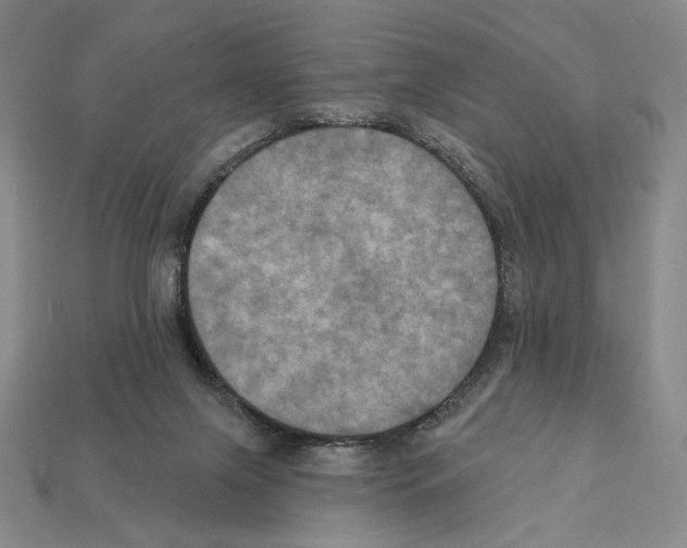 X0000112030071200909141105
