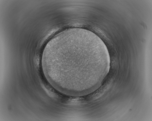 X0000112030072200909141105