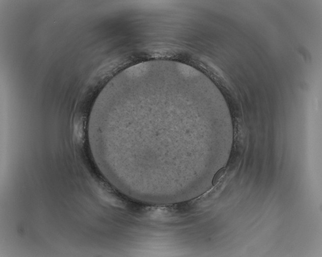 X0000112030074200909141105