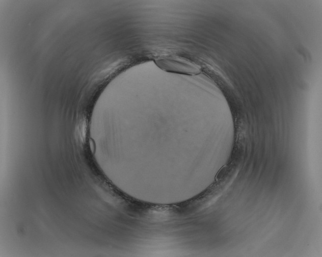 X0000112030076200909141105