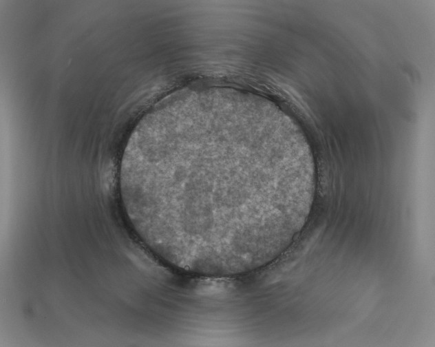 X0000112030077200909141105