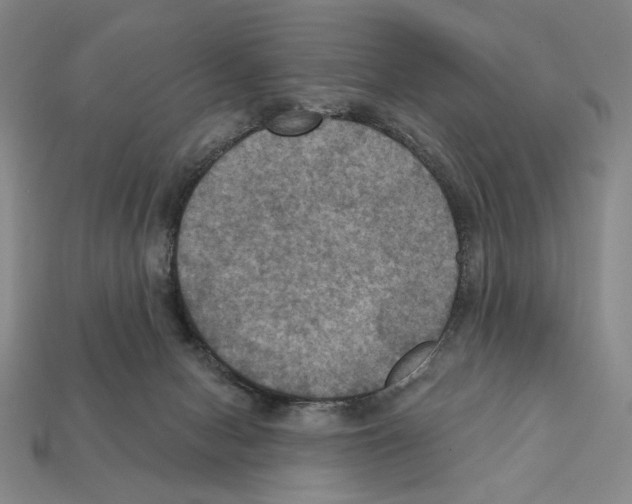 X0000112030078200909141105