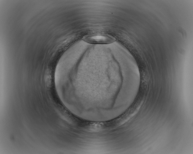 X0000112030080200909141105
