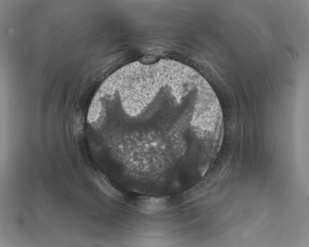 X0000112030081200909141105