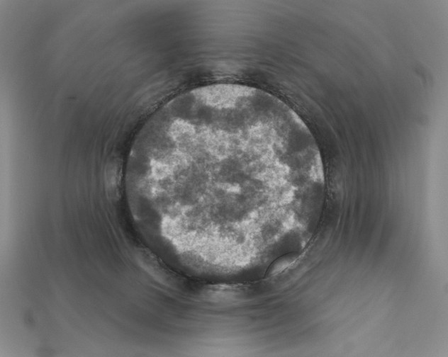 X0000112030082200909141105
