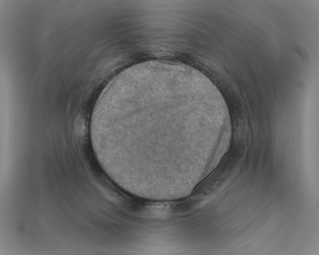 X0000112030084200909141105