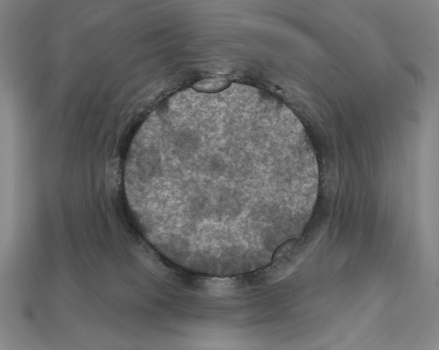 X0000112030085200909141105