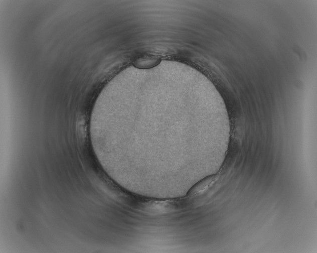 X0000112030086200909141105
