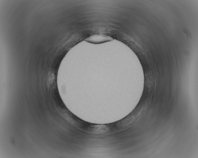 X0000112030087200909141105