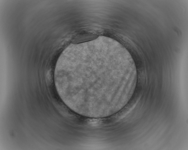 X0000112030088200909141105