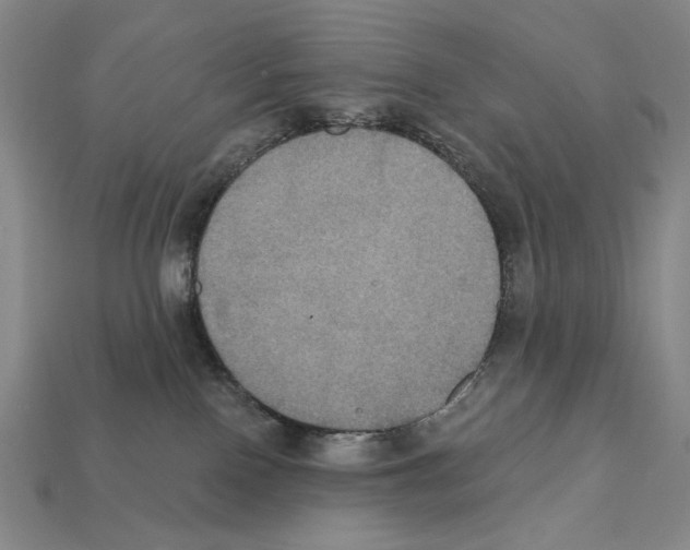 X0000112030090200909141105