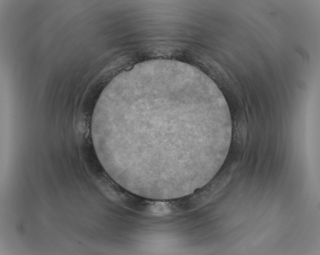 X0000112030091200909141105