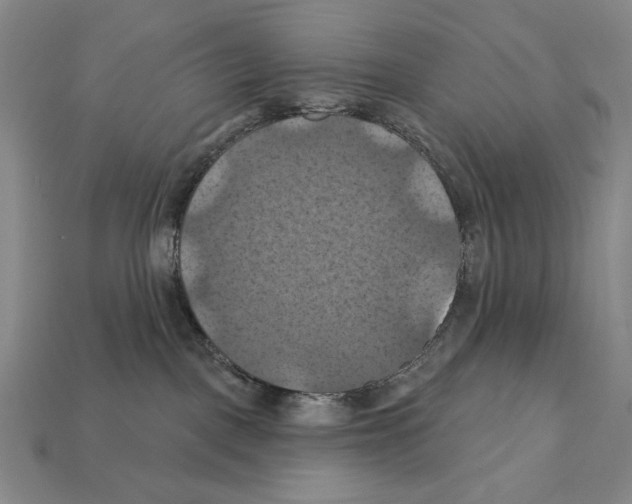 X0000112030093200909141105
