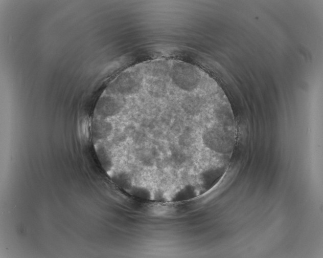 X0000112030094200909141106