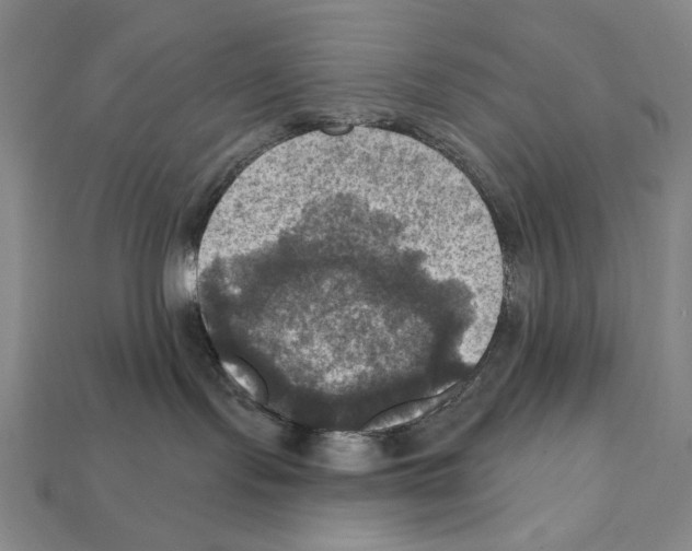 X0000112030095200909141106
