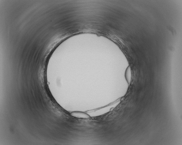 X0000112030098200909141105
