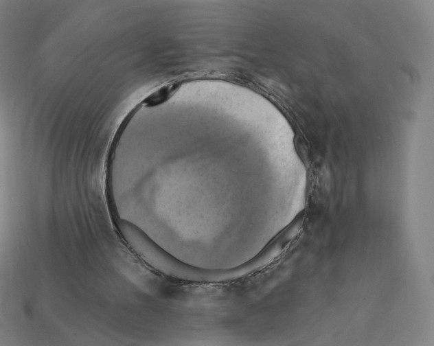 X0000112030100200909141105