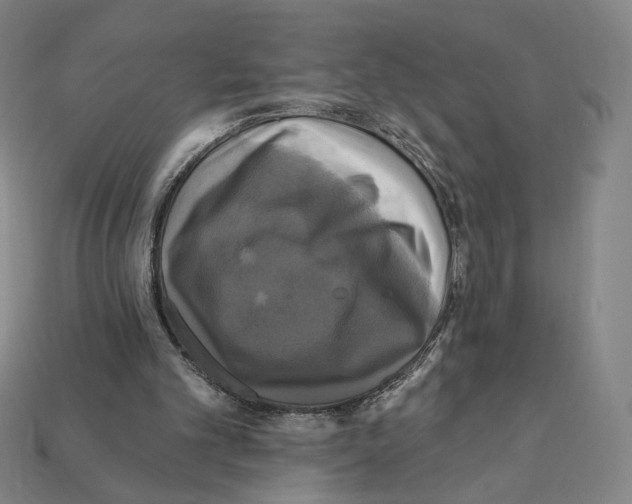X0000112030101200909141105