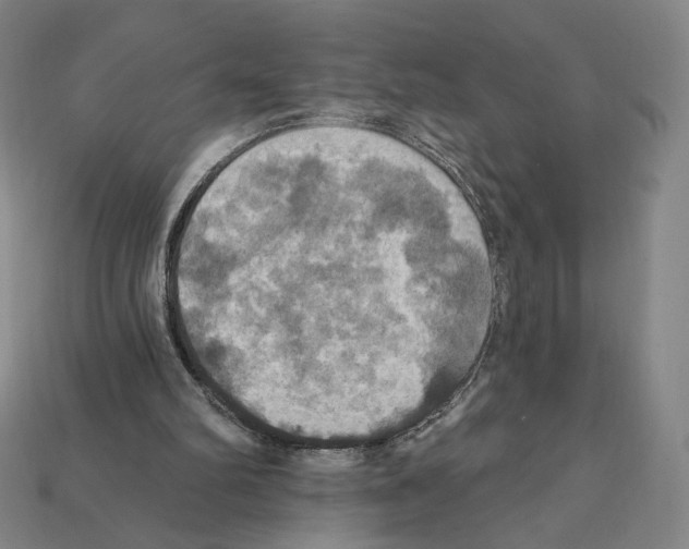 X0000112030102200909141105
