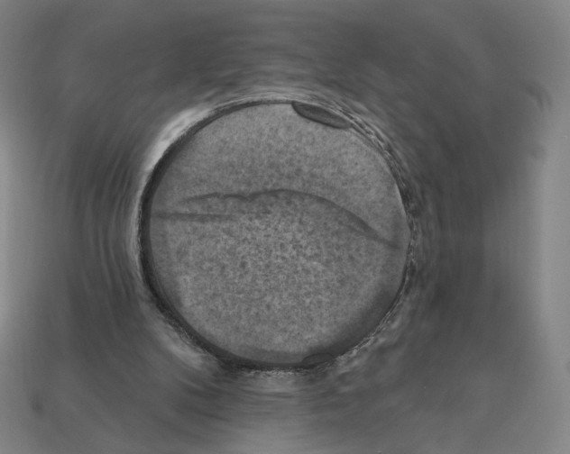 X0000112030104200909141105