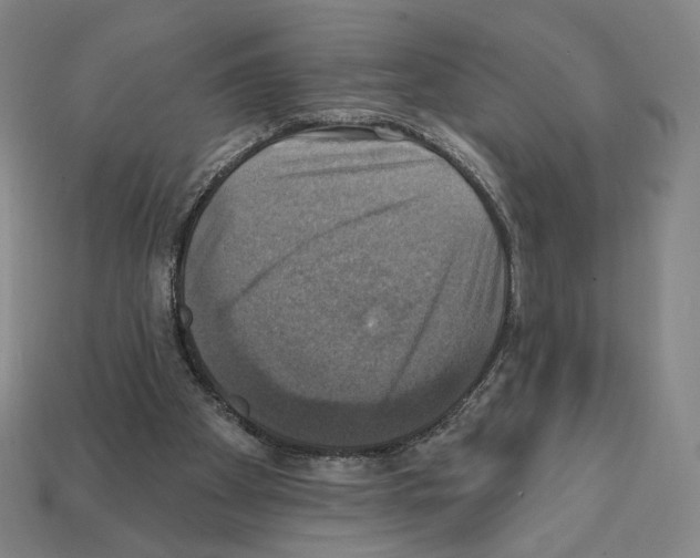 X0000112030105200909141105