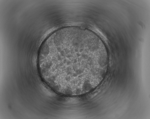 X0000112030107200909141105