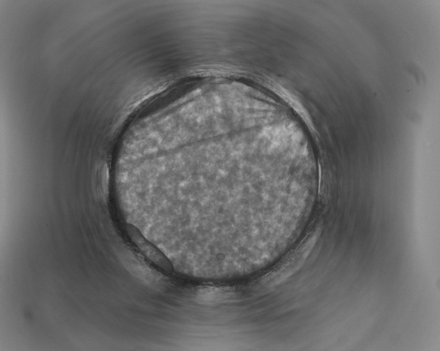 X0000112030109200909141105