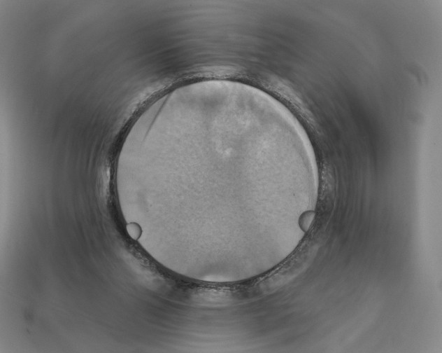 X0000112030110200909141105