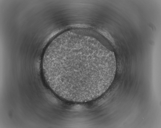 X0000112030111200909141105