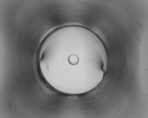 X0000112030112200909141105