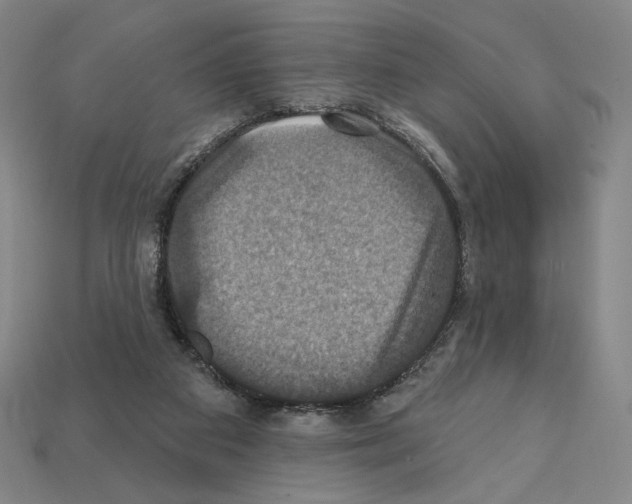 X0000112030113200909141105
