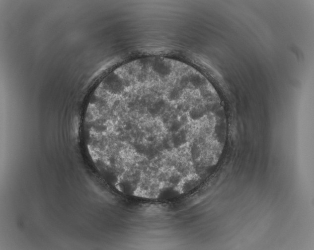 X0000112030115200909141105