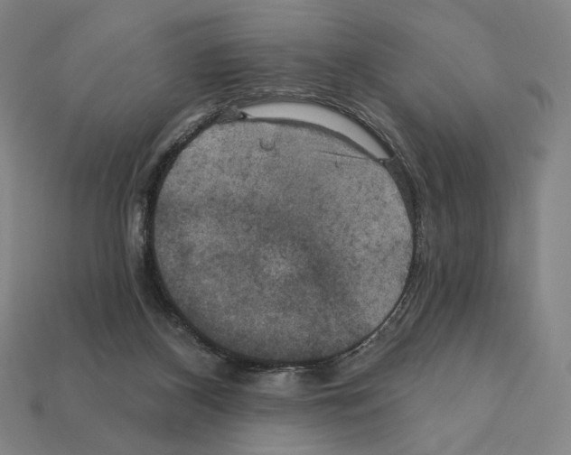 X0000112030116200909141105
