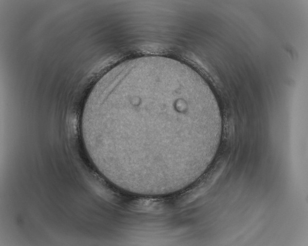 X0000112030117200909141105