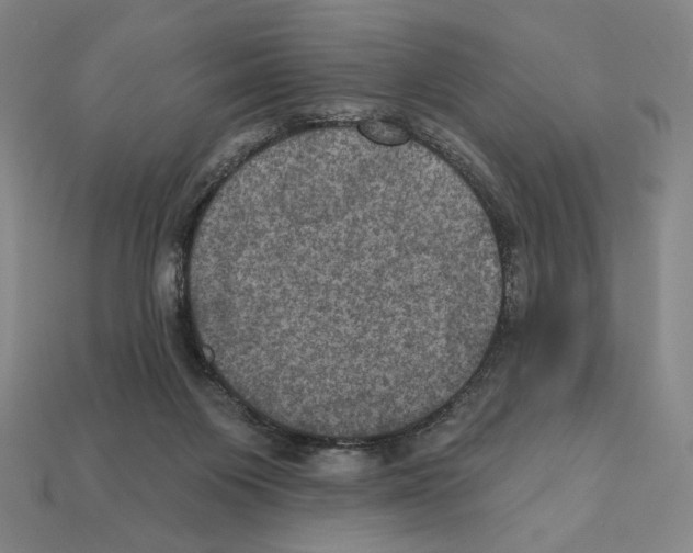 X0000112030119200909141105