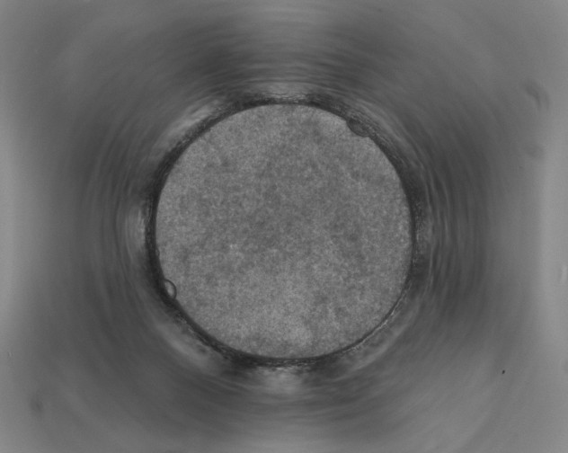 X0000112030120200909141105