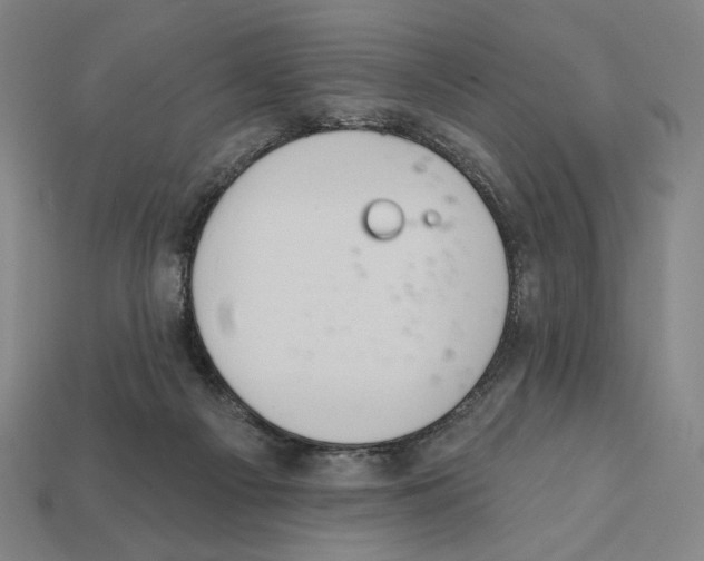 X0000112030121200909141105